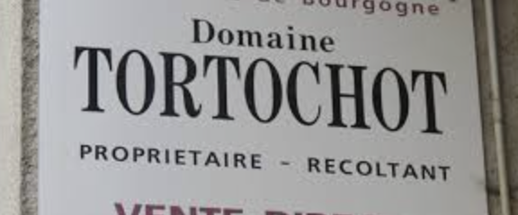 (image for) Tortochot GEVREY CHAMBERTIN LES CHAMPEAUX 2020 [GL Ex Oc 6]